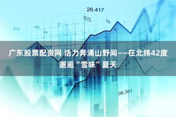 广东股票配资网 活力奔涌山野间——在北纬42度邂逅“雪味”夏天