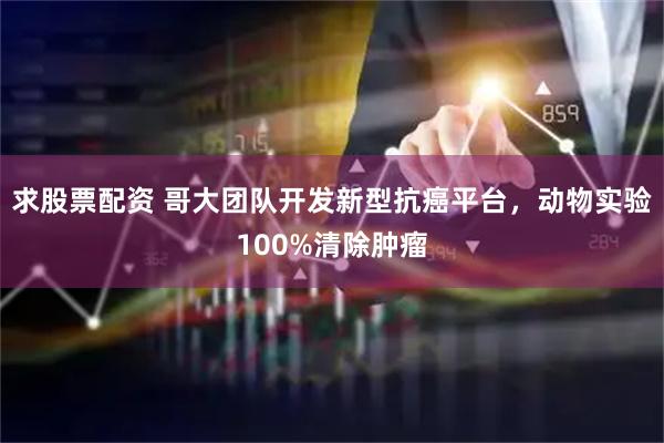 求股票配资 哥大团队开发新型抗癌平台，动物实验100%清除肿瘤